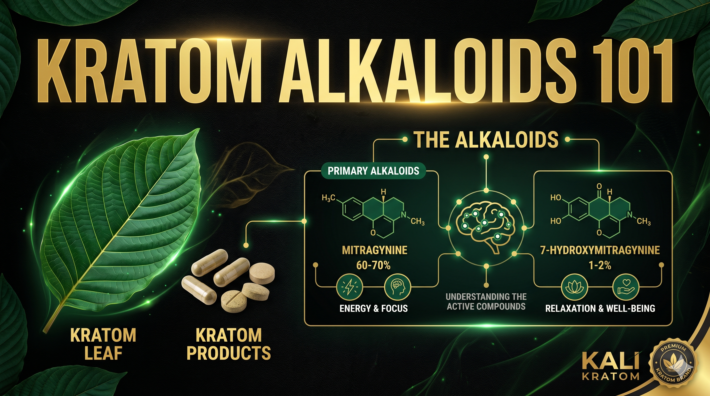 Kratom Alkaloids 101